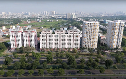 Ban quản trị chung cư bị phạt gần 120 tỉ đồng: Có đúng Luật Quản lý thuế?