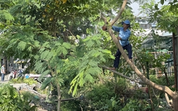 Phát quang, nạo vét tuyến kênh Tân Trụ và Hy Vọng
