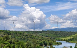 Cảnh cáo nguyên phó giám đốc sở liên quan sai phạm dự án điện gió