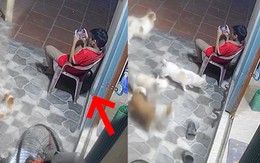 Bé trai mải mê chơi game, không biết rắn bò dưới chân