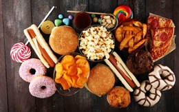 Mối liên quan giữa sức khỏe đường ruột và thực phẩm giàu chất béo bão hòa