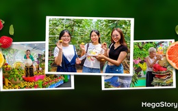 Lễ hội trái cây Nam Bộ 2025: từ mùa vụ đến văn hóa