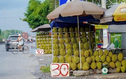 Sầu riêng miền Tây bán lề đường chỉ 30.000 đồng/kg
