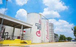 10 năm gia nhập thị trường Việt, một dòng bia ngoại tăng công suất gấp đôi