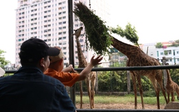 Thảo cầm viên tung loạt trải nghiệm hè cho trẻ rèn kỹ năng, tránh xa điện thoại