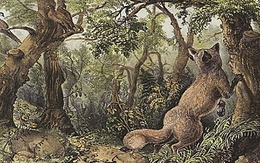 Thử tài tinh mắt: Tìm 12 khuôn mặt ẩn giấu trong hình