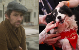 Cannes bước qua ngày cuối cùng với hai phim xuất sắc và giải Palm Dog danh giá