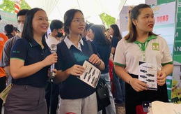 Sinh viên muốn việc làm lương cao cần cải thiện kỹ năng mềm