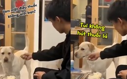 Chú chó 'thái độ' ra mặt khi được mời thuốc lá