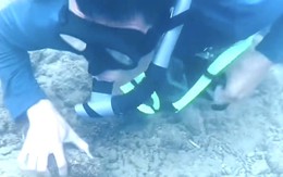 Nhắc nhở hành vi của TikToker đăng clip ngắm san hô ở Hòn Chồng, Nha Trang