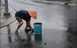 Nhặt cá rô vượt cạn lên đường nhựa 'mỏi tay' ở Bình Chánh