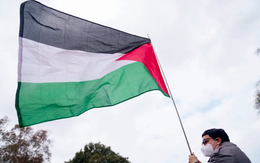 Lần đầu tiên cờ Palestine tung bay tại trụ sở WHO