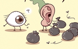 Lỗ tai bị quá tải vì cuộc gọi quảng cáo rác