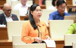 Hình phạt chung thân không giảm án: Đại biểu đề nghị cân nhắc đánh giá kỹ