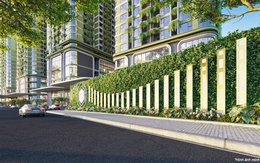 Căn hộ xanh - ‘liều thuốc dưỡng lành’ giữa lòng đô thị