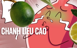 Bao tử khóc thét vì cậu chủ thải độc bằng 'chanh liều cao'