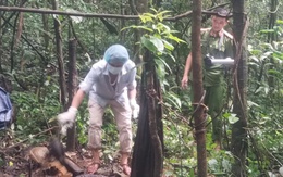 Phát hiện bộ xương trong rừng sâu, nghi của người bị truy nã