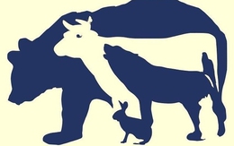 Thử tài tinh mắt: Có bao nhiêu con vật trong hình?