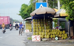 Chất lượng nông sản Việt Nam: Trách nhiệm, hệ lụy và giải pháp