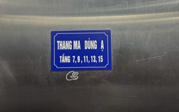 Ảnh vui 29-5: 'Với ma thì lễ phép là đúng rồi'