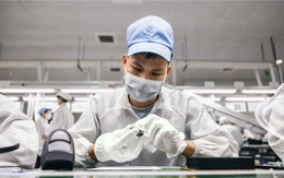 Apple triển khai đào tạo cho các nhà cung cấp tại Việt Nam