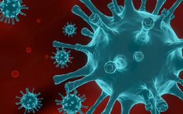 Việt Nam có thể tái sản xuất thuốc điều trị COVID-19