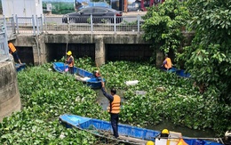 Lục bình phủ kín nhiều đoạn kênh Nhiêu Lộc, mỗi ngày vớt gần 9 tấn