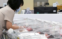 Tỉ lệ sinh Hàn Quốc tăng ngoạn mục trong quý 1