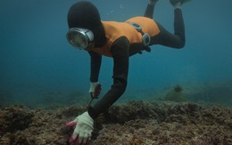 Phát hiện bí mật của nhóm phụ nữ bơi lặn như cá dù ngoài 80 tuổi