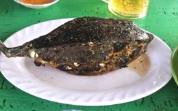 Bè ở Nha Trang bán 1kg cá bò hòm 3,5 triệu đồng, du khách choáng váng