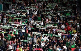 CLB Elche cấm fan ăn hạt hướng dương trên sân vì sợ… chuột