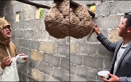 Chàng trai sưng miệng khi dùng đũa bắt ong, chiên ăn tại chỗ