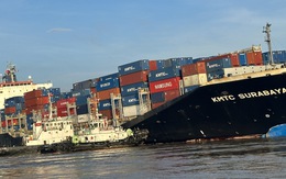 17ha rừng Cần Giờ bị dầu loang sau sự cố, các đơn vị khẩn trương xử lý