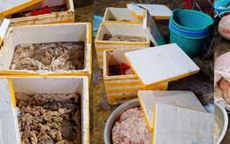 Chỉ ở 2 cơ sở chế biến thực phẩm, phát hiện 5 tấn nguyên liệu không rõ nguồn gốc