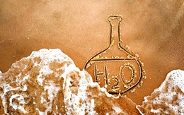 Biển là lớp khoa học hè