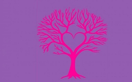 Quiz: Hình ảnh hé lộ vai trò của gia đình trong cuộc sống bạn