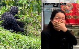 Cô gái sưng húp mắt khi làm cameraman quay cảnh bắt ong