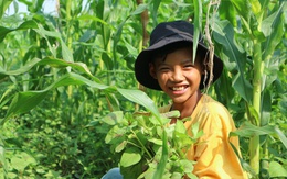 Cậu bé 11 tuổi bán rau phụ mẹ nuôi em