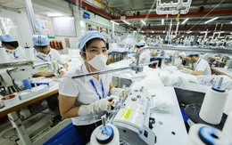 Mỗi tháng hơn 24.000 doanh nghiệp rút khỏi thị trường