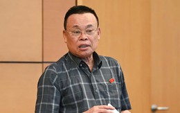 Vụ gần 600 loại sữa giả: Đại biểu Quốc hội nói về 'đùn đẩy, đá bóng trách nhiệm'