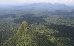 Phát hiện kim tự tháp bí ẩn sâu trong rừng mưa Amazon
