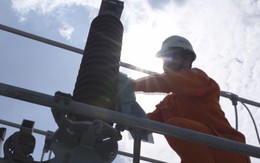 Cuộc thi clip ‘50 năm - Tỏa sáng miền Nam’: Đồng hành phát triển - Điện sáng miền quê Sen hồng