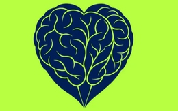 Quiz: Bạn có phải là người có trách nhiệm?