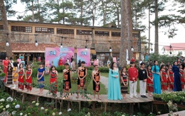 Nơi âm thanh dừng lại, chỉ còn tiếng gió Đà Lạt