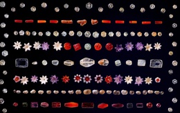 Hong Kong hoãn đấu giá đá quý Piprahwa của Đức Phật sau khi Ấn Độ đe dọa pháp lý