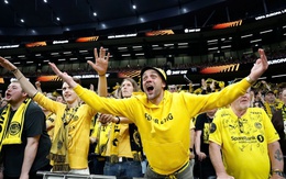 CĐV Na Uy dùng cá khô đổi vé xem UEFA Europa League