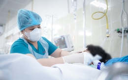 Bé trai 10 tuổi hôn mê sau khi bị cành cây rơi trúng đầu