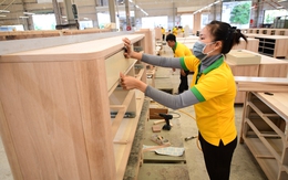 Nhà nhập khẩu Mỹ tìm đơn hàng từ Việt Nam