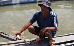 Hiện trạng dầu loang ở Cần Giờ 2 tuần sau vụ tàu va chạm trên sông Lòng Tàu