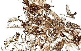 Thử tài tinh mắt: Tìm 4 con hươu trong hình